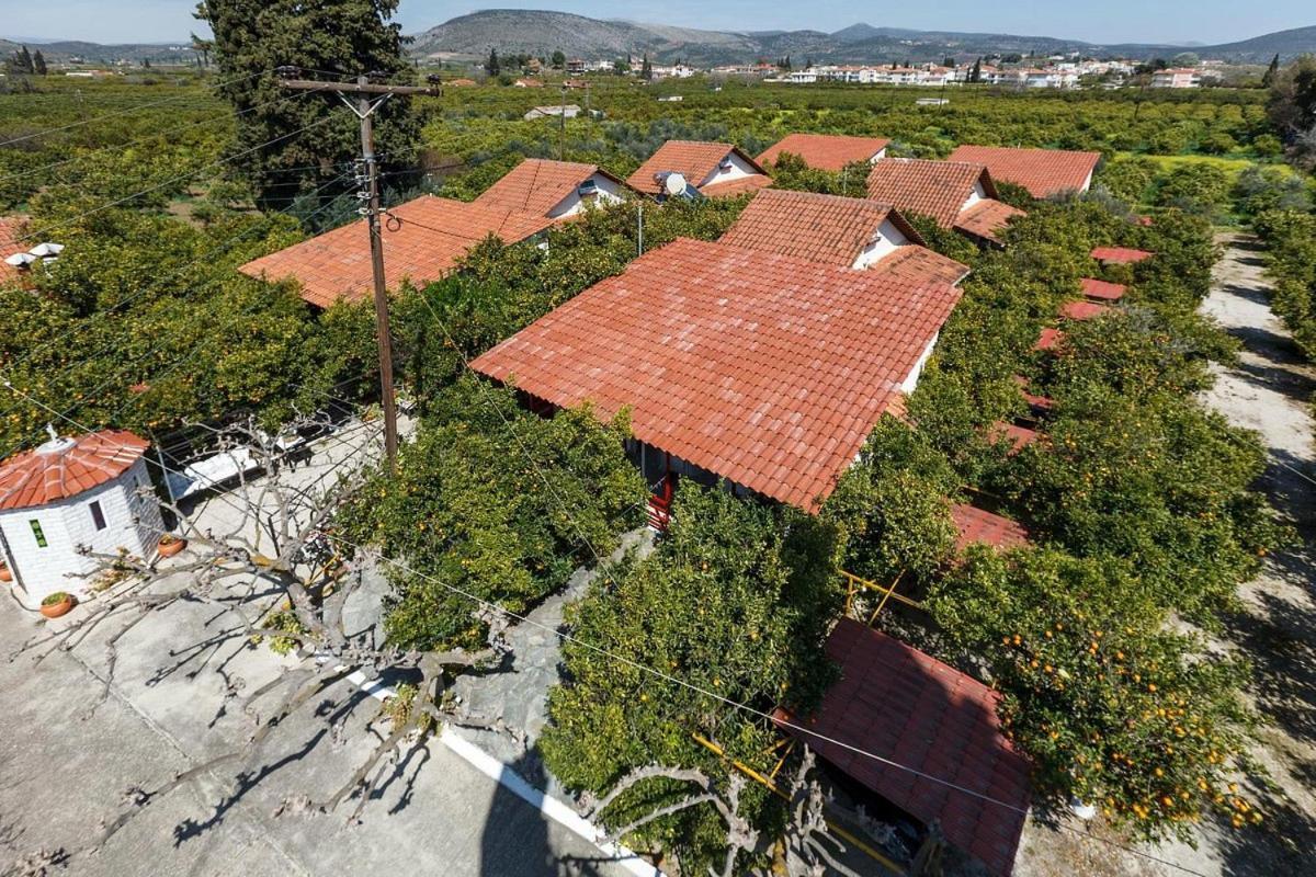 Cottonclub Villas Tolón Eksteriør billede